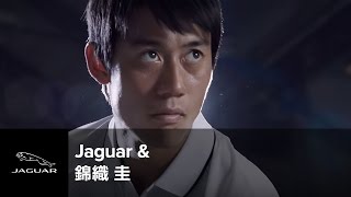 JAGUAR FPACE vs 錦織 圭 パフォーマンス対決 第2セット 速度  ウィンブルドン [upl. by Duquette]