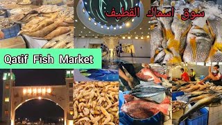 Qatif Fish Market سوق اسماك القطيف Fish Market Saudi Arabia  Dammam Fish Market [upl. by Marozik]