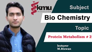 Chap10  Part2  Metabolism of Protein  BSN and Paramedic UrduHindi with solve MCQS [upl. by Condon]