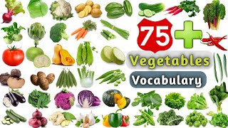 Vegetables Vocabulary ll 75 Vegetables Name in English ll List of Vegetables [upl. by Nnylyoj]