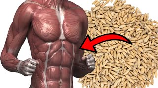 12 Powerful Health Benefits of Oats Oatmeal and Oat Milk [upl. by Timrek901]