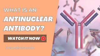 What is an Antinuclear Antibody [upl. by Tabbi]