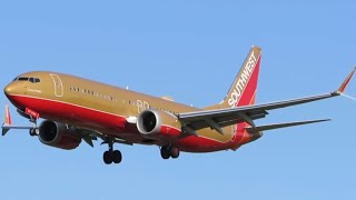 Mild Plane Spotting at BWI Inc runway switch ft Desert Gold Retro Livery and more [upl. by Aible]