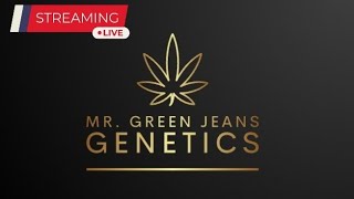 Update from Mr Green Jeans Genetics [upl. by Jarrell]