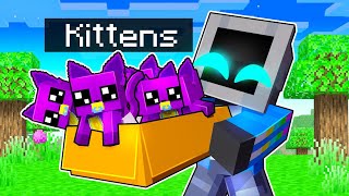 Adopting CATNAP KITTENS in Minecraft [upl. by Carter]