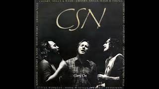 Crosby Stills amp Nash CSN Carry  1991 Full album [upl. by Liek93]