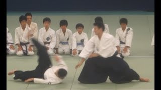 All Japan Childrens Aikido Training Meet 2017 [upl. by Godewyn]