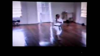 Shotokan Katas with Master Ray Dalke Part 1 [upl. by Ilysa]