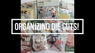 Organizing Die Cuts amp Ephemera  My Color Binders [upl. by Noived]