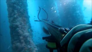 Spearfishing Under The Eureka Oil Rig [upl. by Annohsat]