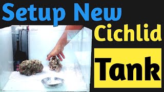 Setup New Cichlid Tank  Cichlid Breeding Setup  Cichlid tank Setup  Best Cichlid Tank setup [upl. by Orten]