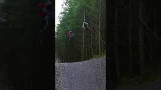 TRAINS AT DYFI BIKE PARK dyfibikepark [upl. by Branscum813]