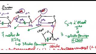 Biochimie structurale Révisons Partie 03 Exercise Glucides [upl. by Sitelc]