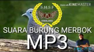 Suara Burung Merbok MP3 terbaikk [upl. by Hollander]