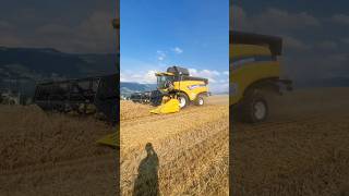 Bester Sommer 2024 🔥 agriculture switzerland swissmachinery [upl. by Dnallor429]