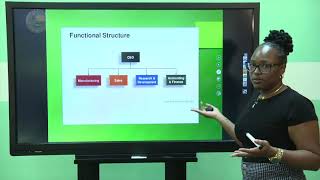 CSEC POB  Internal Org Environment  Organizational Structure [upl. by Ellekcir]