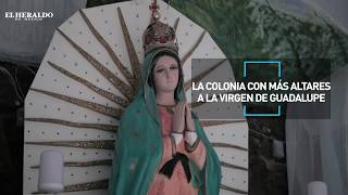 Colonia con más altares de la Virgen de Guadalupe Reportaje El Heraldo TV [upl. by Imas]