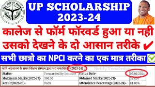 UP Scholarship Status Kaise Dekhe 202324  UP Scholarship NPCI Problem 2023 upscholarship2023 [upl. by Oihsoy]