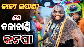 କାଳୀ ଭସାଣୀ ରେ କଳାହାଣ୍ଡି କଟପା । Kalahandi Katpa in Kali Bhasani काली भसानी में कालाहांडी कटपा [upl. by Aelegna]