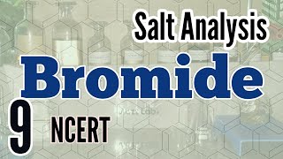 Identification of Bromide  Salt Analysis series NCERT [upl. by Mcfarland]