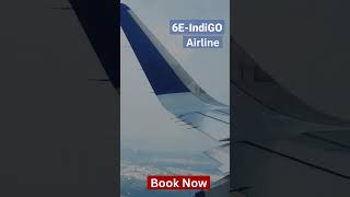 Book Indigo Airline with Flights Assistance  Cheap Flights Ticket indigoairlines travel [upl. by Sutit]