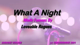 Loveable Rogues What A Night [upl. by Haleelahk125]