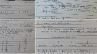 Chromosomal aberrations  full notes  study world [upl. by Violante79]