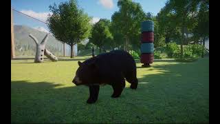 Planet Zoo  Formosan Black Bear [upl. by Bryn]