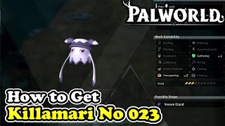 Palworld How to Get Killamari Palworld No 023 [upl. by Feola]