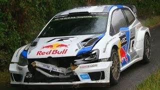 Mikkelsen Crash Test Germany 2014  Accident with a deer [upl. by Annodal999]