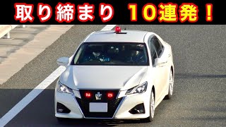 【超スッキリ１０連発‼️】2023年上半期 取り締まりベスト10‼️ 覆面パトカー [upl. by Orfurd]