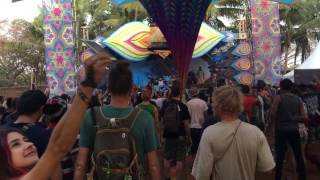 Hilltop Festival 2017  Shiva Tree live [upl. by Etteluap]