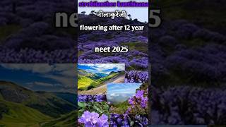 Rarest Flower in India Blooms Once in 12 years neelakurinji [upl. by Nylitak]