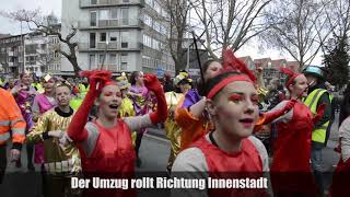 Karneval 2019 Impressionen vom Umzug in Münster [upl. by Astor]