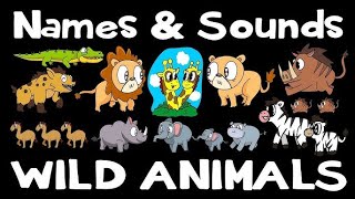 Wild animals name and sound  for kids  learning [upl. by Rowney]