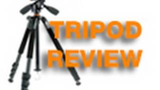 Vanguard Alta 204AP Tripod Review [upl. by Fredelia]