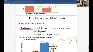 ATP and Enzymes Lecture Recording [upl. by Merril]