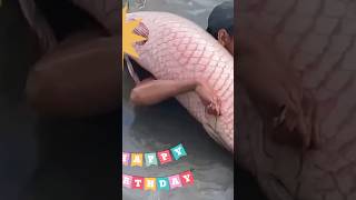 কি করছে দেখুন fishing  fish 🐠 🔥 [upl. by Krein]