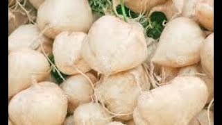 How to grow and care Jicama Sakalu Fruit Plant  Village Farming Live Part V [upl. by Wendi]