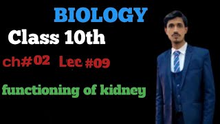 Functioning of kidney Class 10 biology chapter 02  Lecture 09 learnbiology [upl. by Perpetua332]