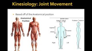 Lecture 3 Biomechanics of Resistance Exercise [upl. by Nilra]