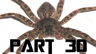 Dark Souls 2 Blind Playthrough Episode 30  Giant Spiders [upl. by Davina]