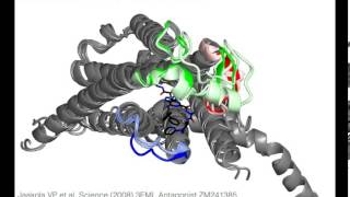 A2A Adenosine receptor with sound [upl. by Bartley969]