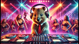 Sonidos Electrónicos Vibrantes con Quokka DJ ¡La Fiesta Empieza Aquí [upl. by Ausoj]