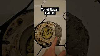 How To Repair A Broken Toilet Flangeshorts [upl. by Anikehs]