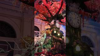 The Bellagio Conservatory Fall Display is already being taken down sad to see it go…lasvegas [upl. by Ahsilac]