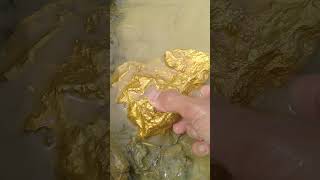 Treasure hunt for gold nuggets goldhunter golddiscovery [upl. by Assyl]