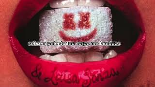 Marshmello amp Luisa sonza  sou musa do verão lyrics [upl. by Teyut907]