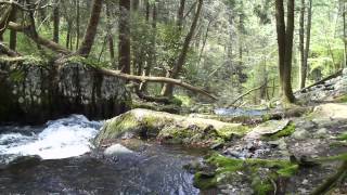 Tillman Ravine  Stokes State Forest  njHikingcom [upl. by Bodwell780]