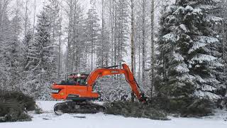 JAK300 Tree Shear with a excavator  Felling a long birch wood and cut it into a pieces  Jakfi [upl. by Aevin]